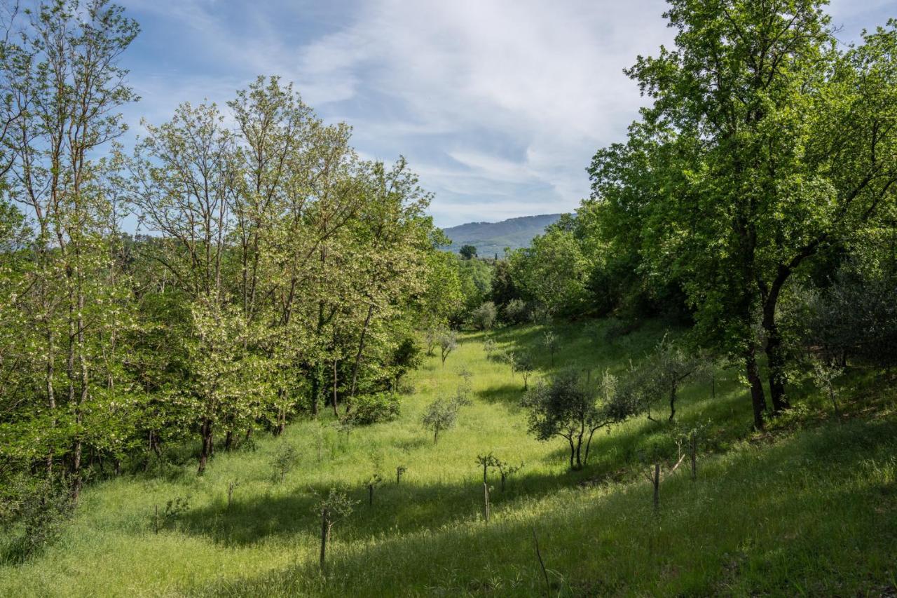 Il Giaggiolo Villa Reggello Dış mekan fotoğraf